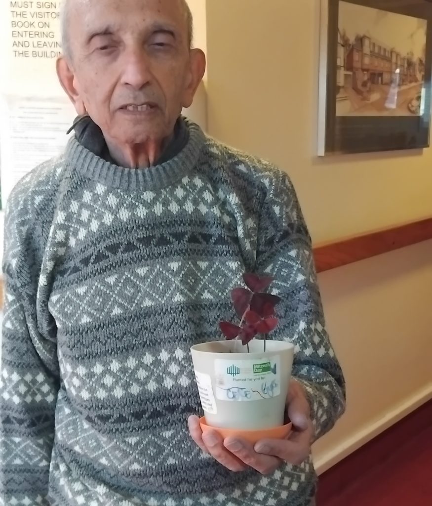 Bulbs Bring Joy to Leaseholders