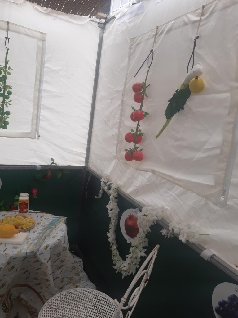 A Succah in the Communal Garden 🌿🍋