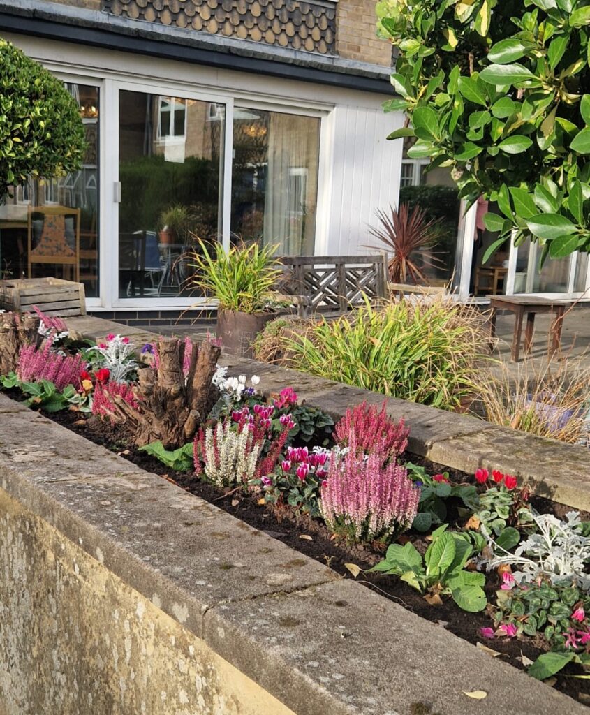 Winter Gardens Look Fantastic